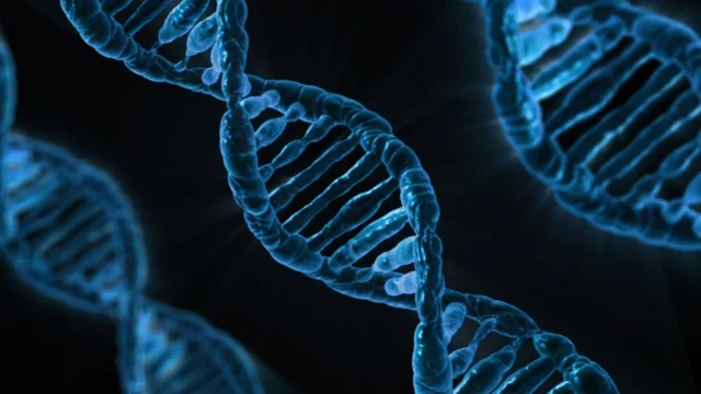 探討N-甲基嗎啉氧化物的低毒性與可生物降解特性