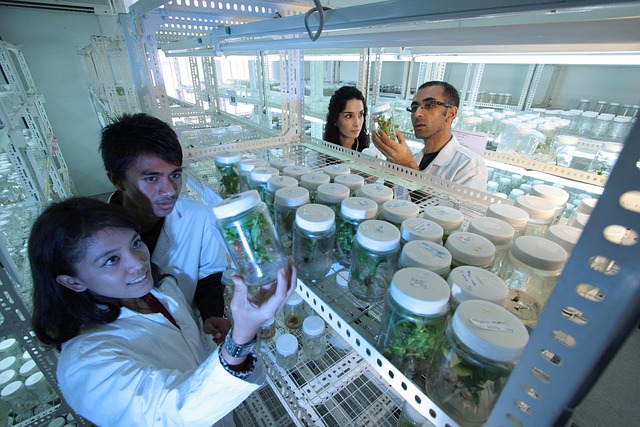 新型N-甲基嗎啉氧化物衍生物的開發(fā)與市場需求動(dòng)向